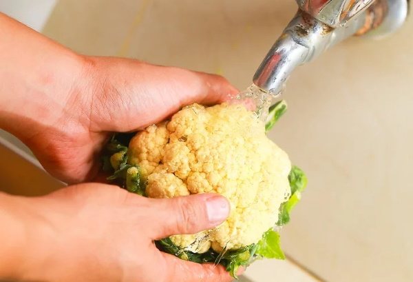 Цветная капуста с курицей в духовке. Рецепты с сыром, сметаной, сливками, яйцом в рукаве, пакете, фольге