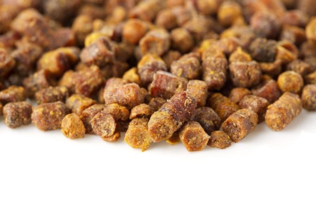 Как хранить пергу: дома, в холодильнике, в гранулах, в сотах, срок годности и хранения