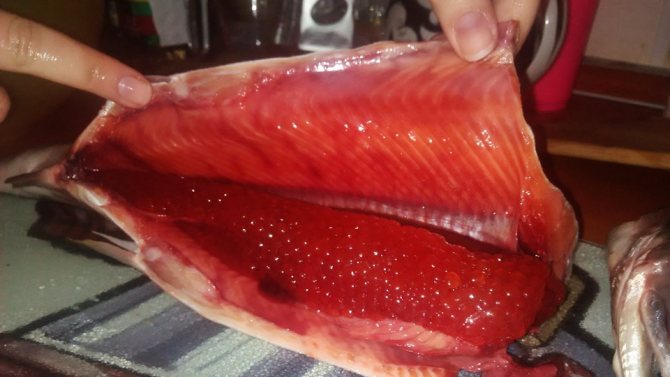 Рыба с красной икрой