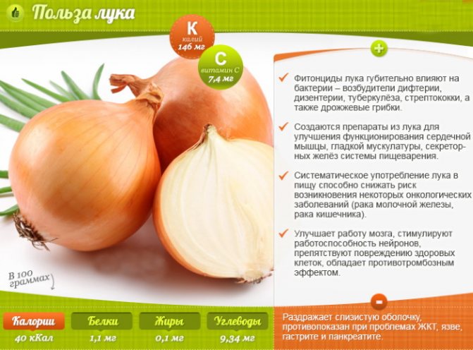 Салаты из лука репчатого с уксусом. Рецепт с фото