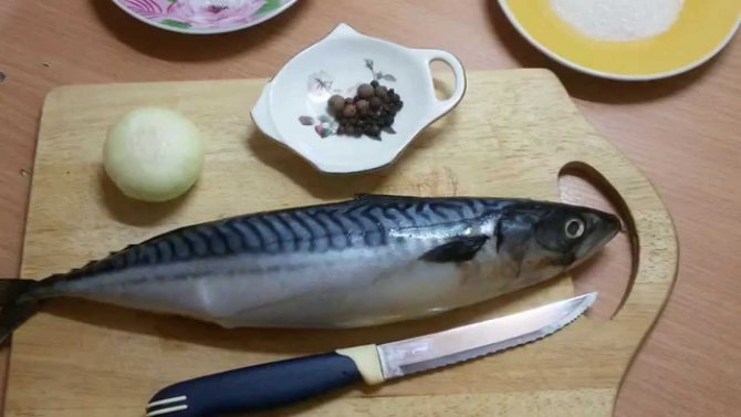 сколько варить скумбрию