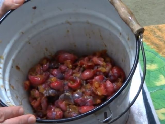 сливы без косточек в ведре