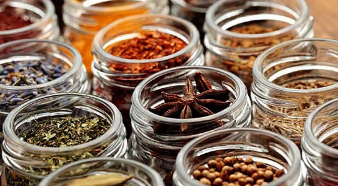 Свежи приправы и специи